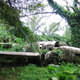 Image for article titled Real-Life Lost Relic Found Over and Over Again